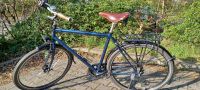 Böttcher Safari 28er Trekking Rad Shimano Alfine 11  Nabenschalt Bremen-Mitte - Ostertor Vorschau