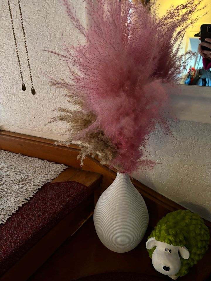 Pampasgras rosa gefärbt mit Vase Dekoration in Waldbröl