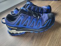 Salomon XA PRO 3D, Gr. 44, UK 9,5, Gore-Tex, wie neu, Ortholite Bayern - Kirchdorf a. Inn Vorschau