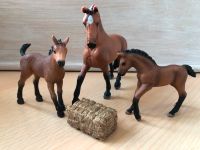 Schleich Horse Club Set mit drei Pferden und Zubehör Bayern - Vöhringen Vorschau