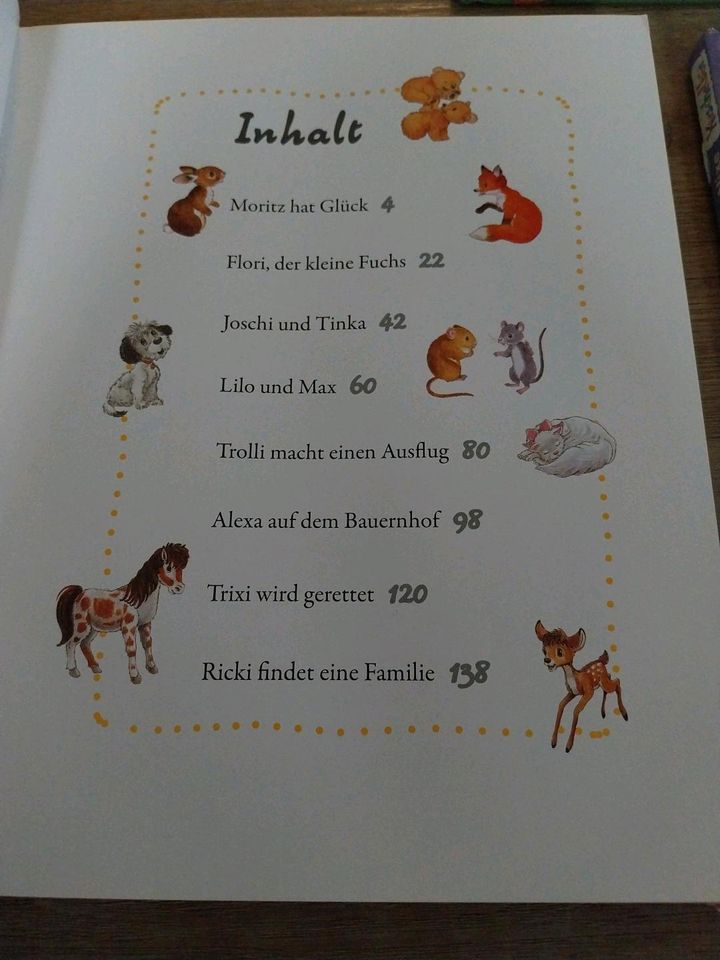 Bücher für die "Kleinen"*Tierkindergeschichten*Grünasenhasen*Nixe in Altbach