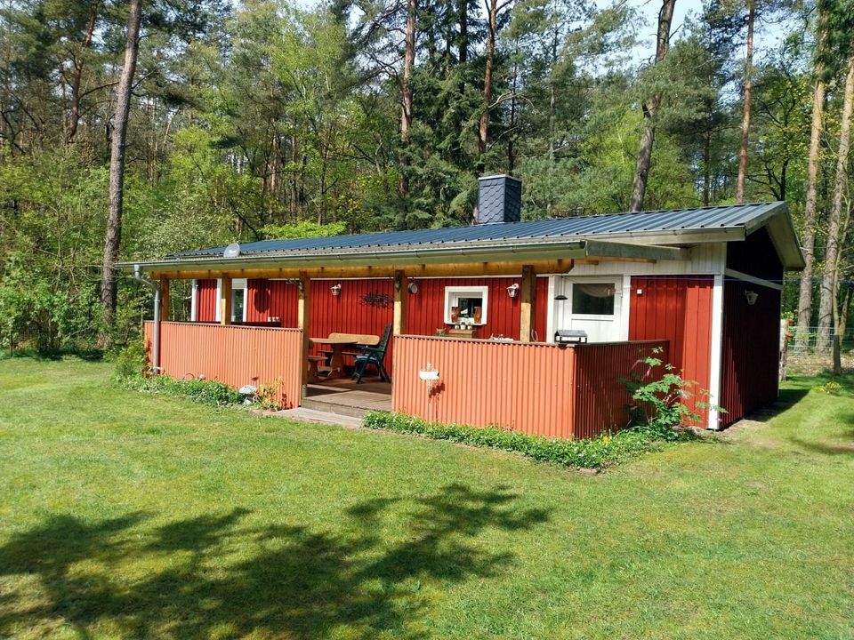 Herrlich im Wald wohnen in Kuhlenfeld, 10 km von Boizenburg in Tessin b. Boizenburg