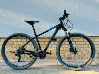 Top Cube Attention SL 29Zoll Rh 17“ Fahrrad XT RockShok Bayern - Feldkirchen Niederbay Vorschau