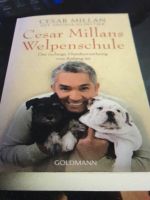 Cesar Milans Welpenschule Milan Bestseller Buch Hunde Welpen Köln - Porz Vorschau