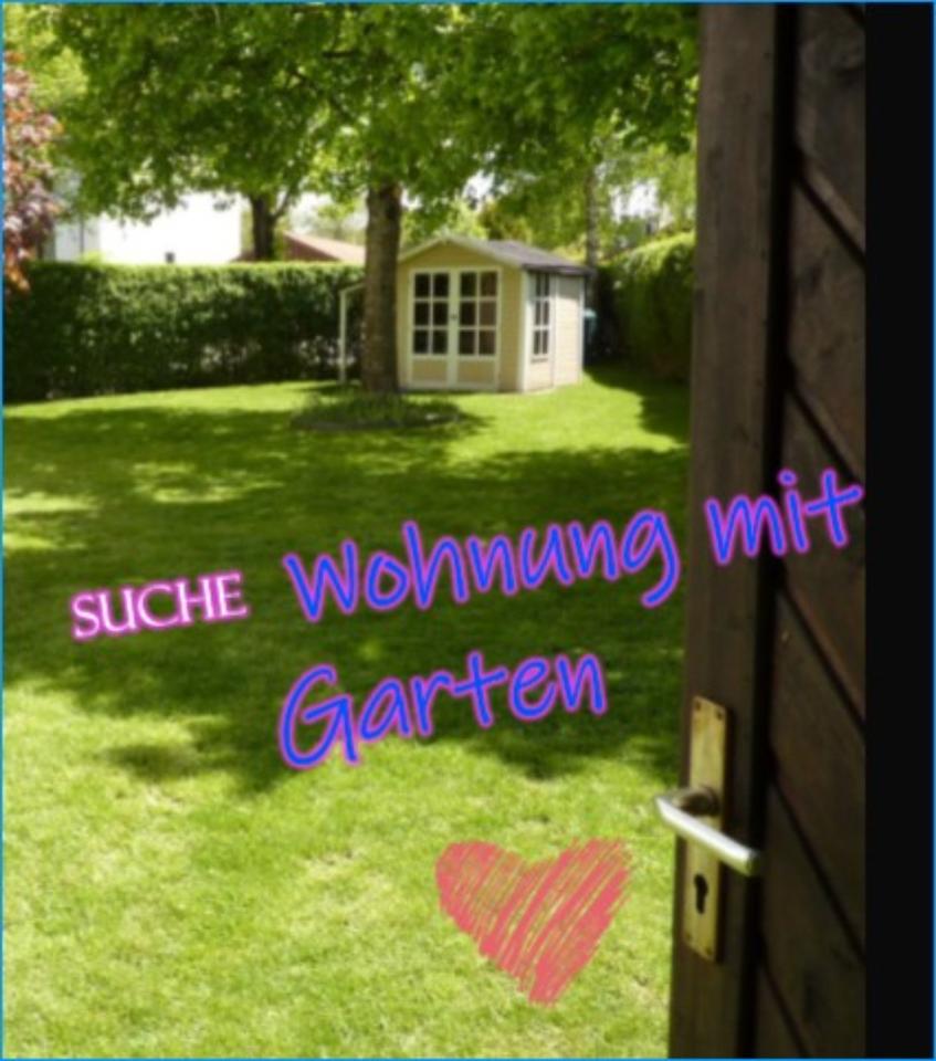 Su. 2-3 ZKB, biete Hilfe im Haus/Garten/Alltag, plus Miete in Haimhausen