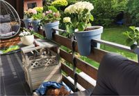 Blumenkübel, Blumentöpfe für Terrasse und Balkon Niedersachsen - Nienstädt Vorschau