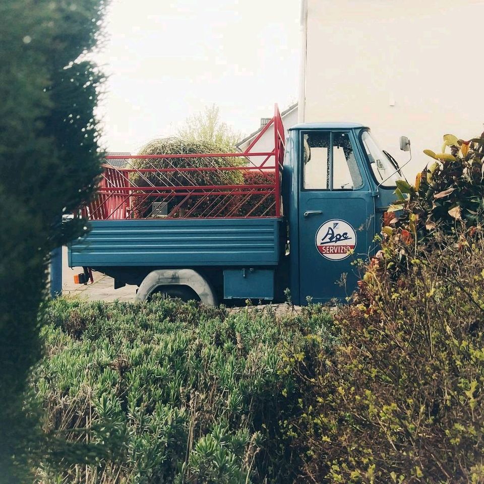 Piaggio Ape/Vespa Servizio Aufkleber 50 TL5T TM2 400 A B C 20cm in Regensburg