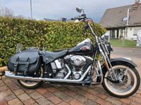 Harley Davidson Softail Springer FLSTSC Rheinland-Pfalz - Dirmstein Vorschau