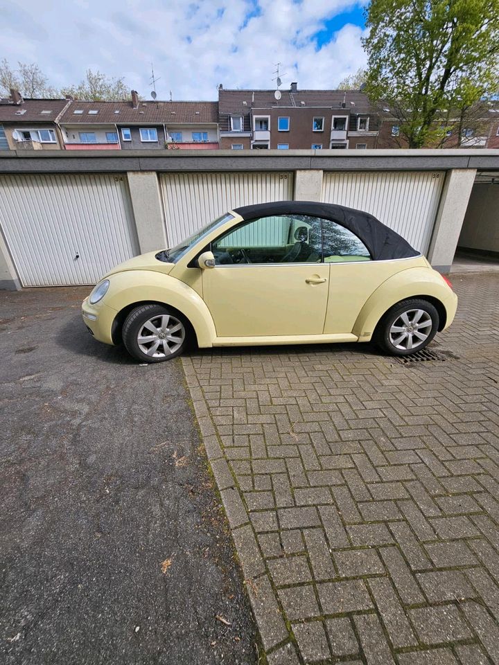 VW Beetle Cabrio in Duisburg