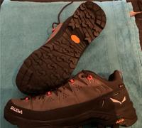 Salewa Alp Trainer 2 GTX gr.42 1/2 Hessen - Wiesbaden Vorschau