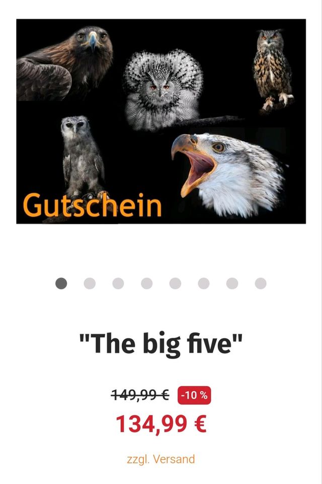 Gutschein, "The big five" Greifvogelwarte Feldatal in Salzhemmendorf