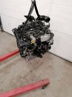 MOTOR DFG AUDI VW SEAT 2.0 TDI KOMPLETT Nordrhein-Westfalen - Ratingen Vorschau