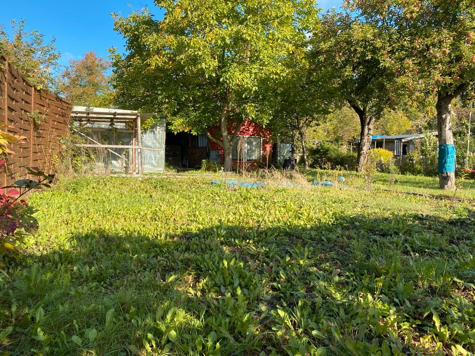 Schrebergarten garten circa 400 m² in Lübeck