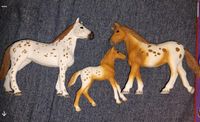 Schleich Horse Club Appaloosa familie 42433 Münster (Westfalen) - Kinderhaus Vorschau