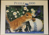 Puzzle 1000 Teile Katzenpuzzle Kreis Pinneberg - Pinneberg Vorschau