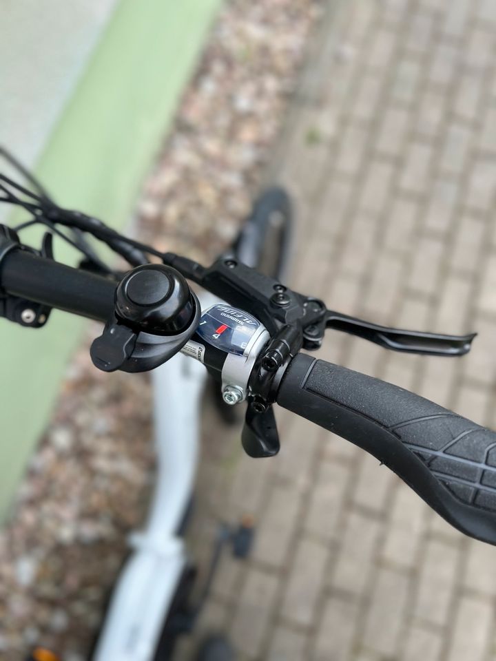 Grecos Eli Fold Faltrad E-Bike Zahnriemen Bosch Active Plus neu in Erfurt