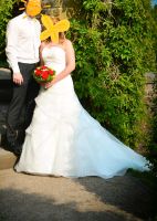 Hochzeitskleid pronovias Nordrhein-Westfalen - Kamp-Lintfort Vorschau
