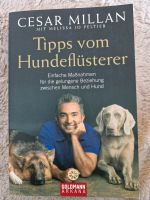 Tipps vom Hundeflüsterer - Cesar Millan Hessen - Darmstadt Vorschau