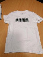 Puma Shirt Bayern - Haundorf Vorschau