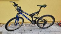 Herren-Mountainbike Baden-Württemberg - Schwanau Vorschau