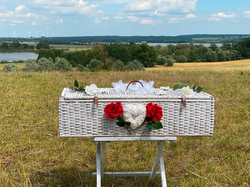 weiße Brieftauben  Hochzeitstauben  weiße Tauben  Uckermark in Nordwestuckermark