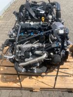 XUJB Ford 1,5 tdci Motor top zustand jung Nordrhein-Westfalen - Neuss Vorschau