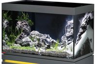 Eheim Incpiria 330 - Aquarium Essen-West - Frohnhausen Vorschau