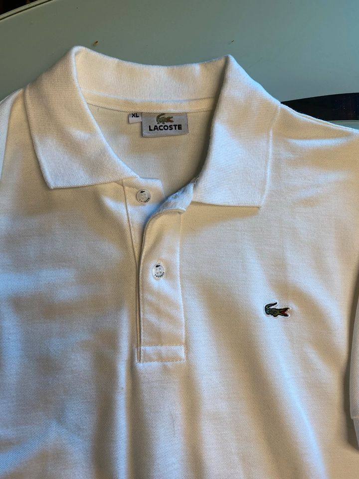 Poloshirt Lacoste, Herren, XL,Weiß,Halbarm, ungetragen in Deizisau 