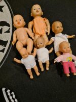 Puppen im Paket von Baby Born bis Zapf Nordrhein-Westfalen - Verl Vorschau