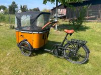 Lastenrad Cangoo Buckle E-Bike Niedersachsen - Wietze Vorschau