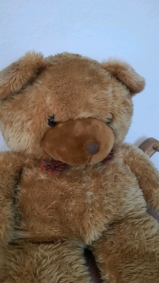 Großer Teddybär braun ca.90 cm kuschelig in Essen