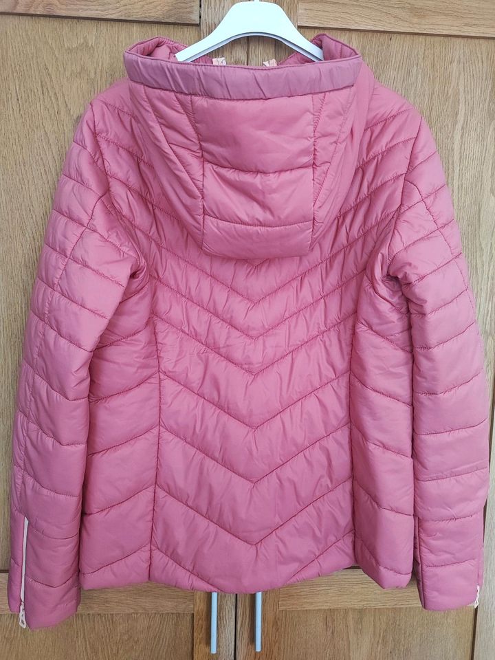 EDC Damen-Steppjacke! NEU! in Stade