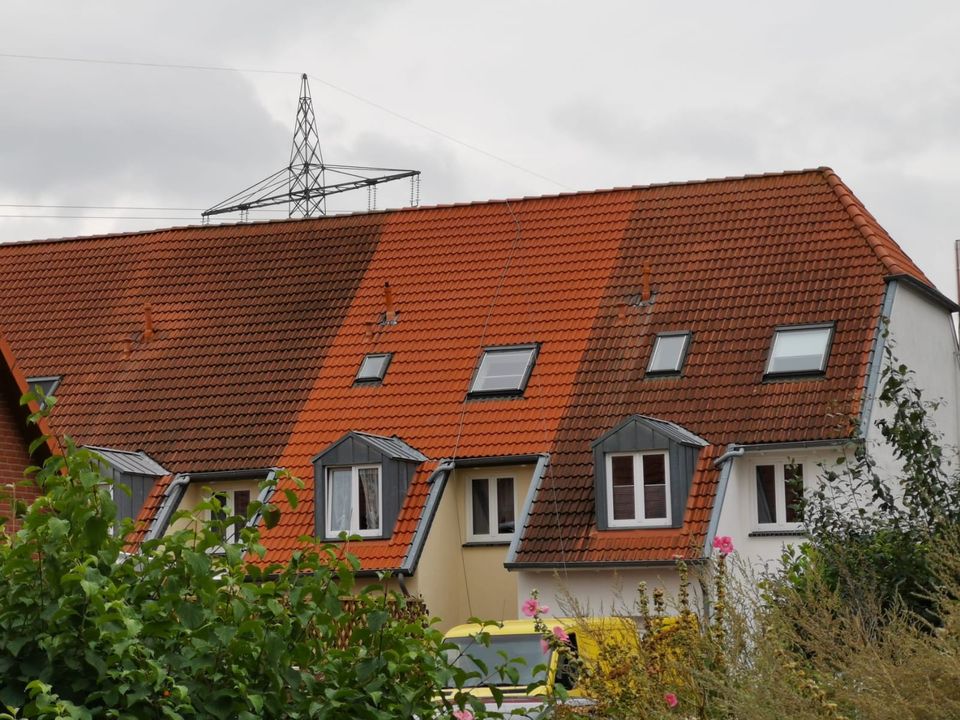 ✅ Hof-& Pflasterreinigung | Dach | Fassade | Steinreinigung in Taunusstein
