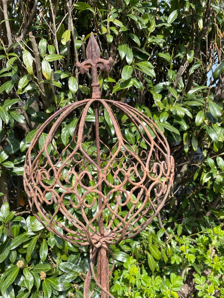 Rosensäule Obelisk Eisen 145-155 cm Rankhilfe Rosen-Gitter in Kamp-Lintfort