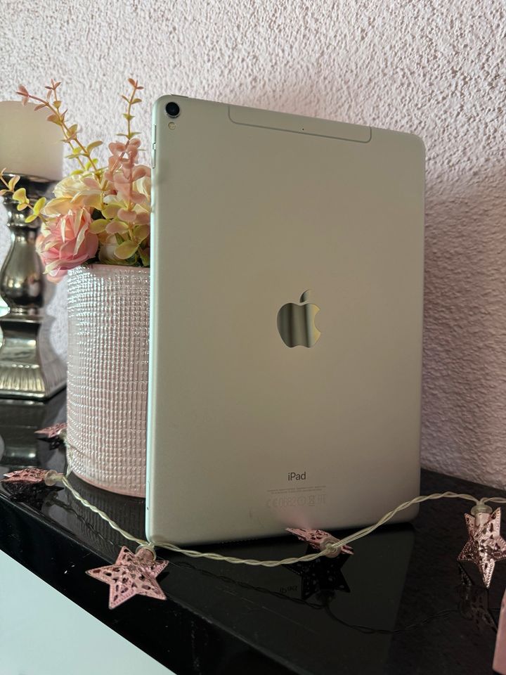 iPad Pro 10.5 - Cellular und WiFi in Wurzen
