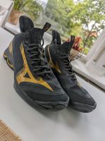 MIZUNO WAVE LIGHTNING NEO 2  Volleyballschuhe Gr. 48,5 Sachsen - Crimmitschau Vorschau