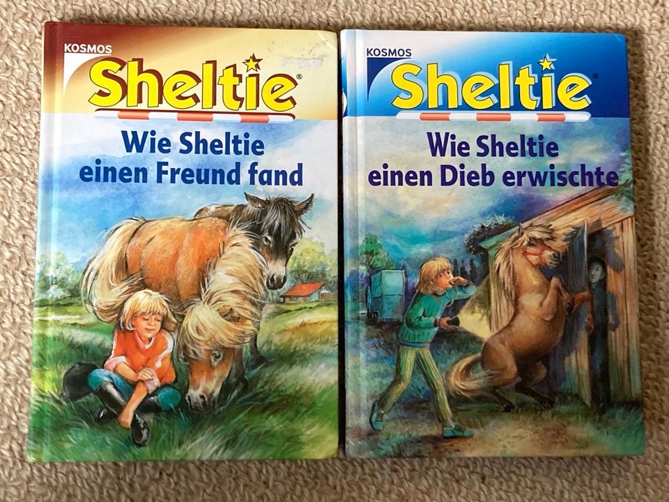 Kinderbuch, Pferdebuch, Buch, Sheltie in Felde