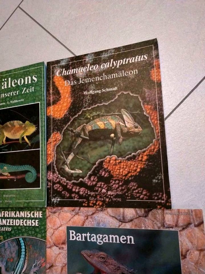 Chamäleon Fach-Bücher Reptilien Chamäleons in Wuppertal