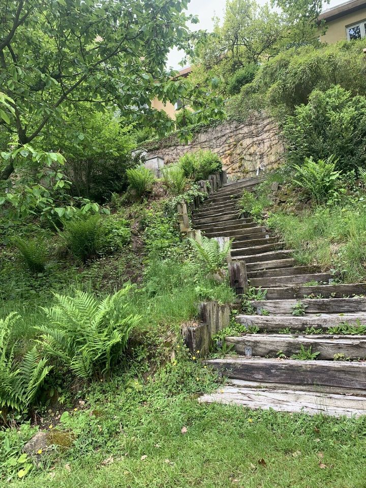 Hanglift Hangaufzug Würzburg Festeinbau montieren mieten in Hirzenhain