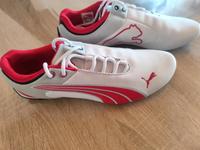 Puma Turnschuhe NEU Bayern - Nordhalben Vorschau