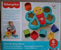 Fisher price Spielzeug Baby Sortierspielzeug Sachsen - Chemnitz Vorschau