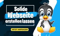 SEO Webseite / Homepage / Webdesign / Website erstellen lassen Brandenburg - Potsdam Vorschau