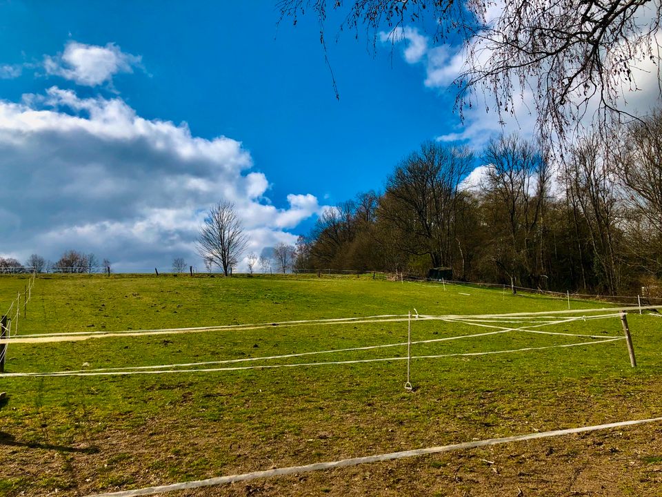 Grundstück | Erschlossenes Baugrundstück PRIVAT in Waldbröl