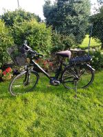 Raleigh Stroker  B 8 - Wave - RH 55 Axa 4678 K Rheinland-Pfalz - Montabaur Vorschau