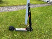 Besrey Scooter Erwachsene Bayern - Bad Wörishofen Vorschau