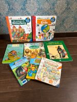 Kinderbücher Schleswig-Holstein - Hollingstedt Vorschau