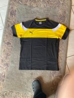 Puma T-Shirt Neu Hessen - Riedstadt Vorschau