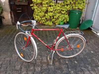 Goldrad Vintage Rennrad Stahl Bayern - Beilngries Vorschau