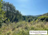 Großes Baugrundstück in Ortsrandlage mit tollem Ausblick! Nähe Gebhardshain! Rheinland-Pfalz - Elben (Westerwald) Vorschau