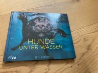 Hunde unter Wasser Niedersachsen - Harsum Vorschau